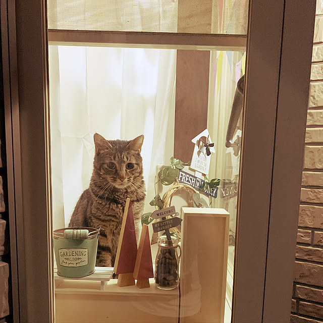 RIErenrenさんの実例写真