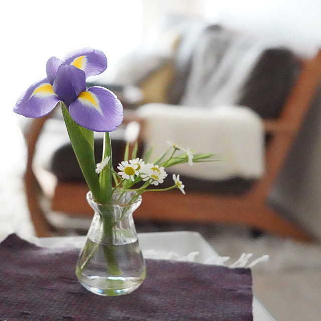 ponme33さんの部屋