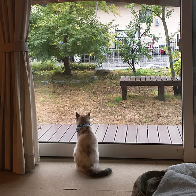 nanaさんの実例写真