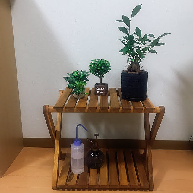 観葉植物/リビングのインテリア実例 - 2021-07-04 19:43:17