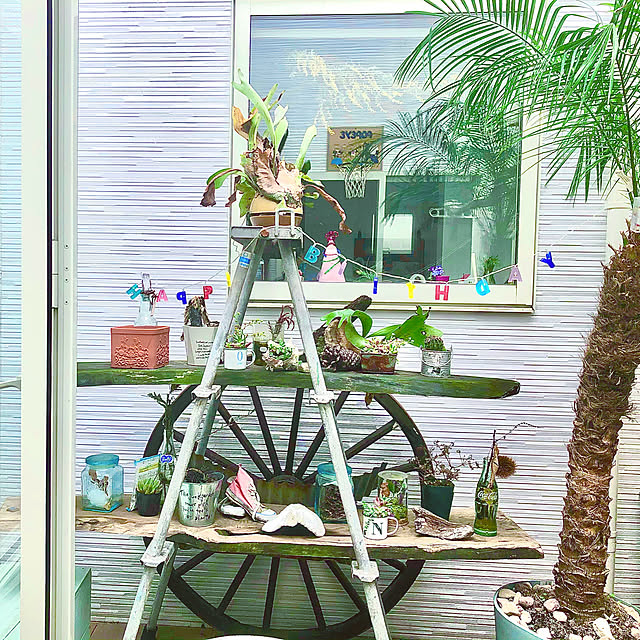 Yukoさんの実例写真