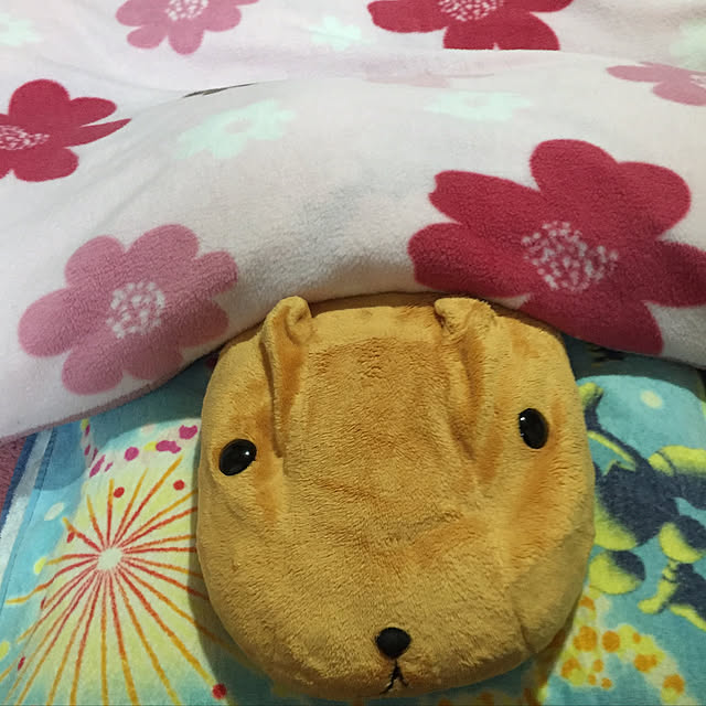 pugpugさんの実例写真