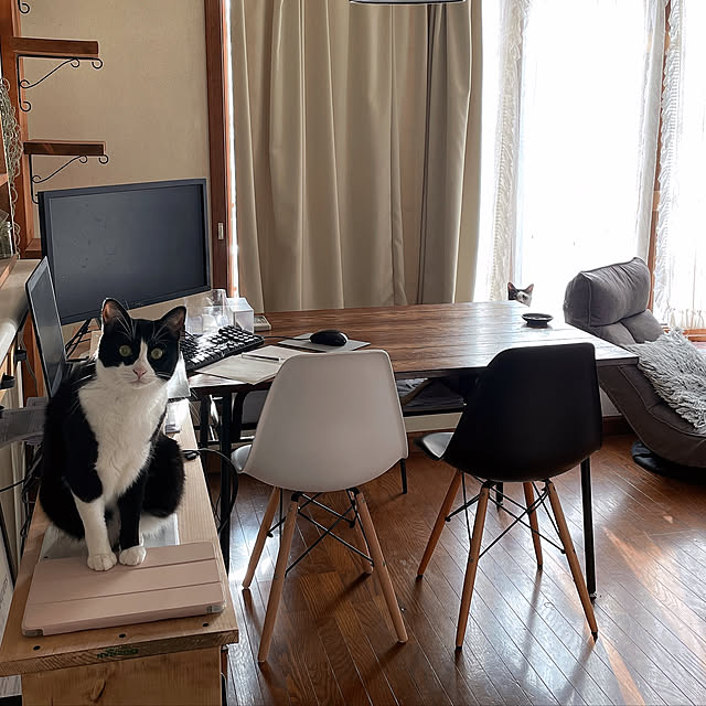 実例写真