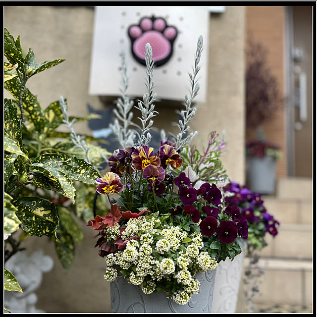 yukarin-gardenさんの実例写真