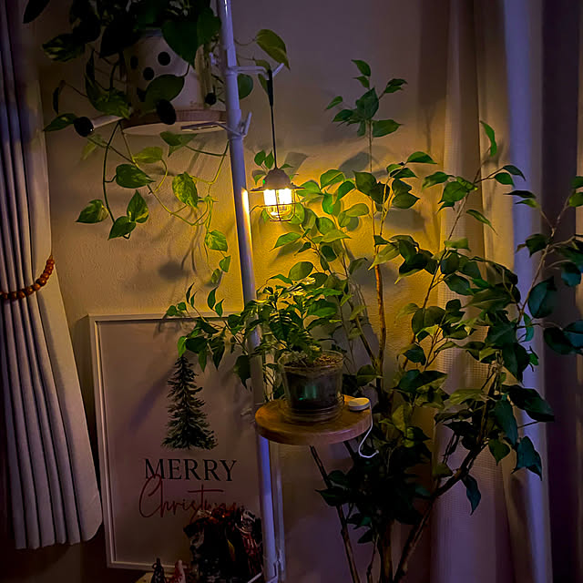 natsuさんの実例写真