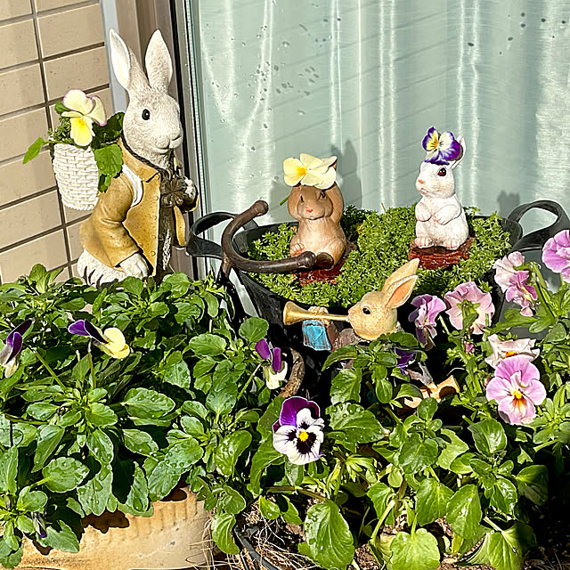 2.11maririnさんの実例写真
