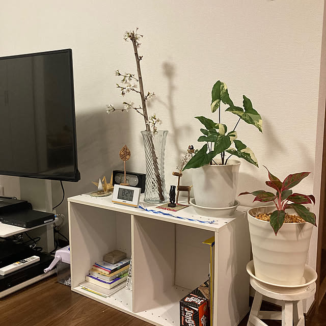 mamaさんの実例写真