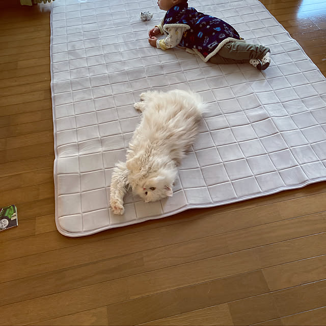 mimosaさんの実例写真