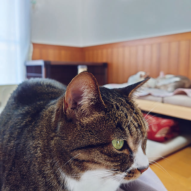 nachiさんの実例写真