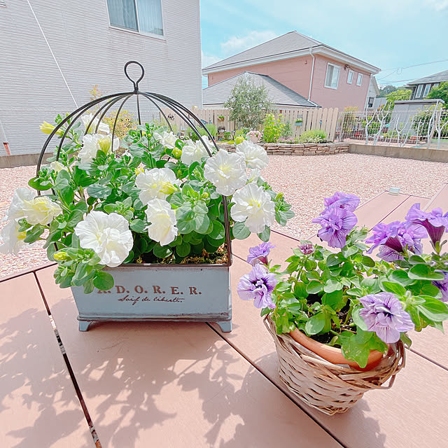 moolさんの部屋