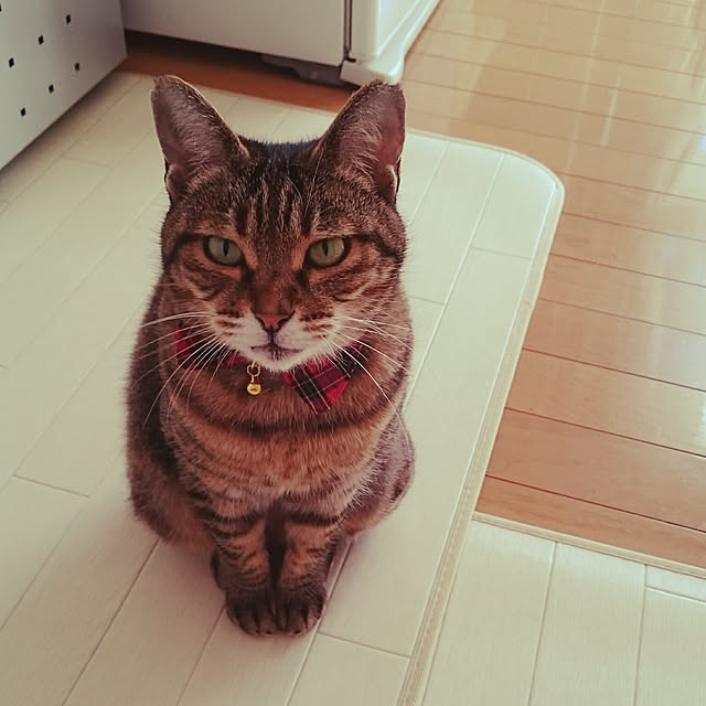 lilyさんの実例写真