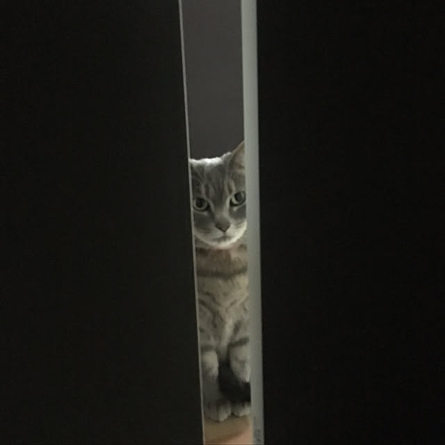Roby1018さんの実例写真