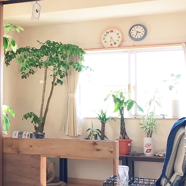 juriさんの実例写真