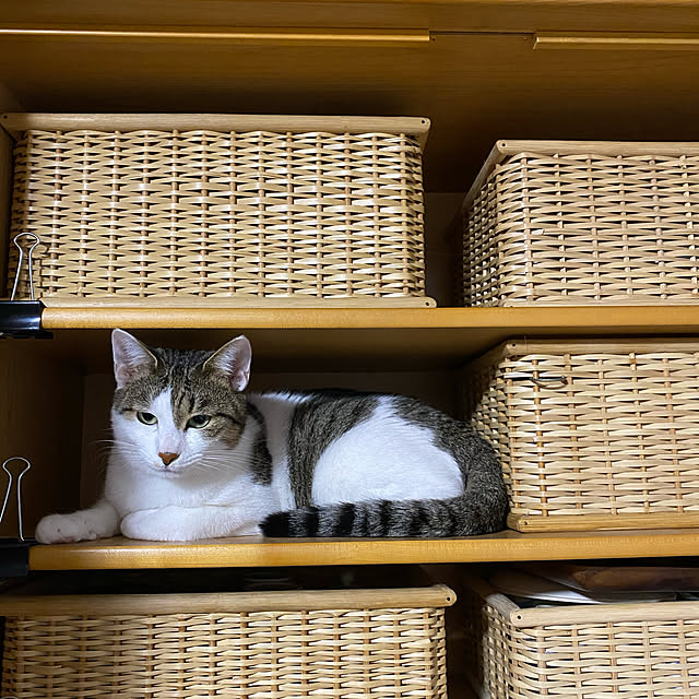 Lufuさんの実例写真