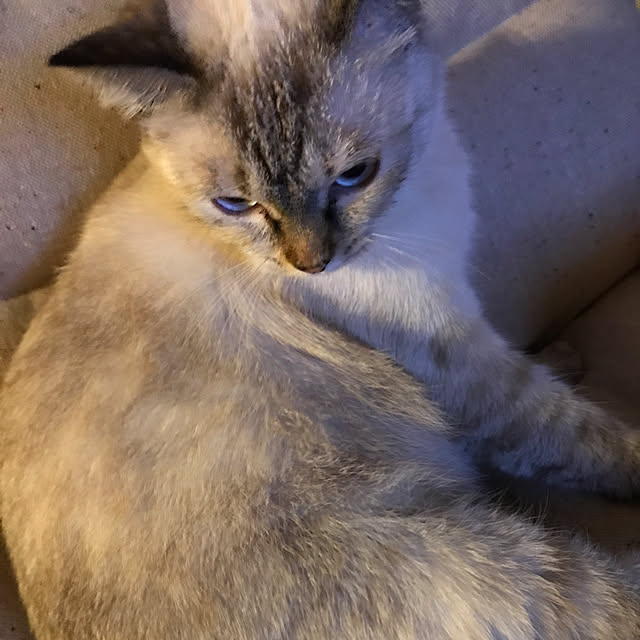 nachuさんの実例写真