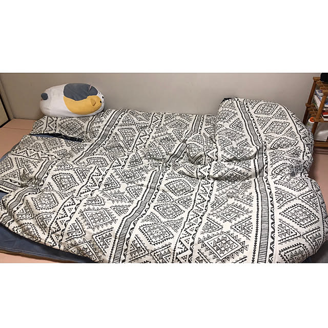 Baigaliさんの実例写真