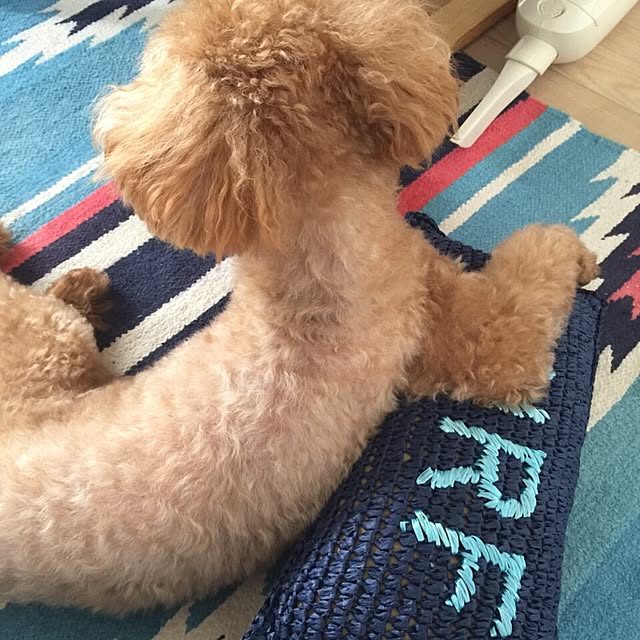 pooさんの実例写真
