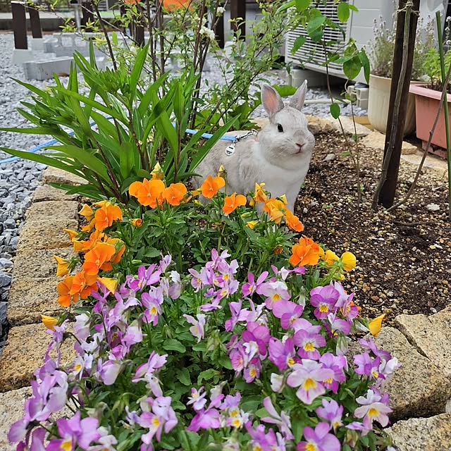 mutsuさんの実例写真