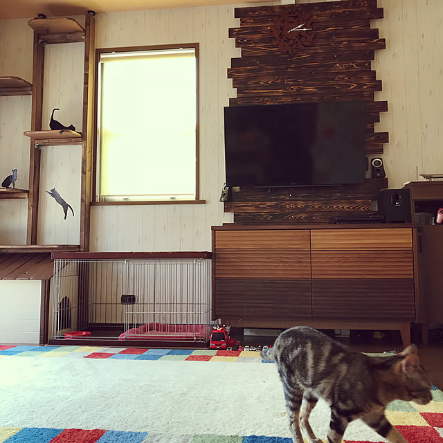 pepeさんの実例写真