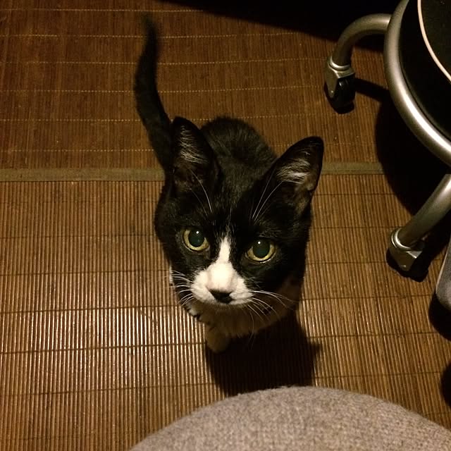 mayukiさんの実例写真