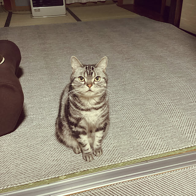 richanさんの実例写真
