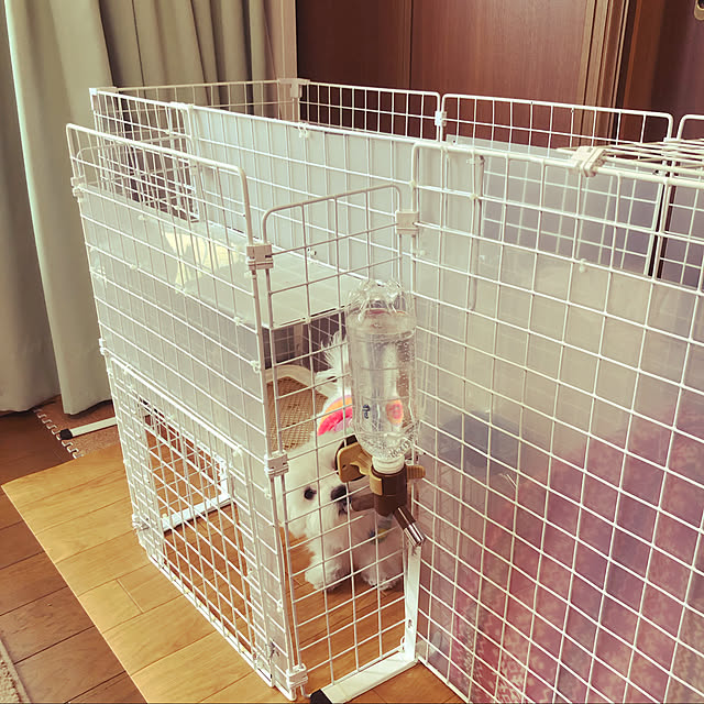 osarunoeijiさんの実例写真