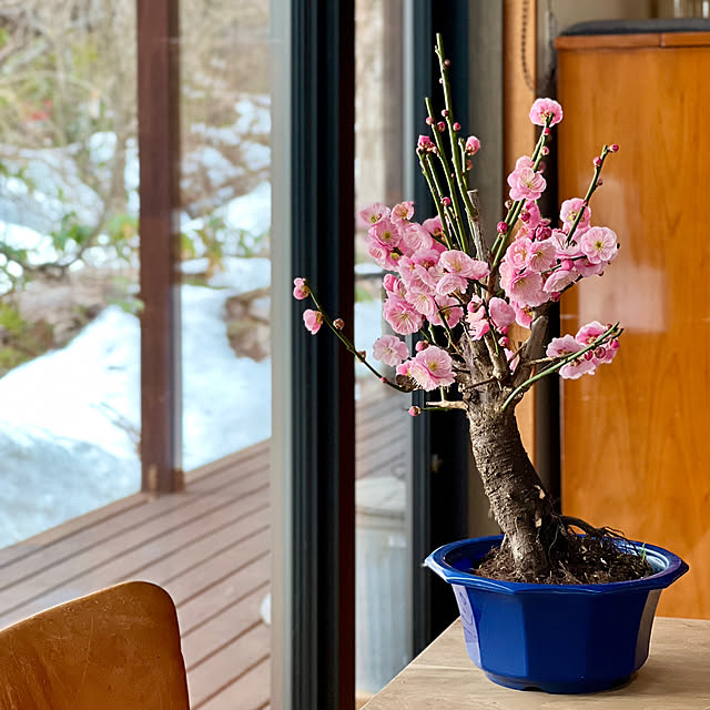 Kikko.さんの部屋