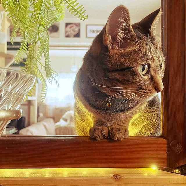 Mさんの実例写真