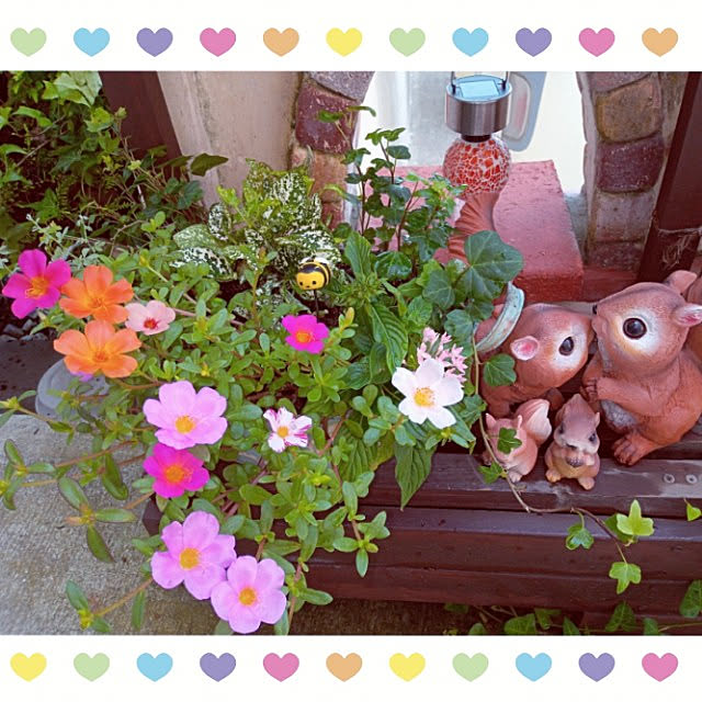 mocomocoさんの実例写真