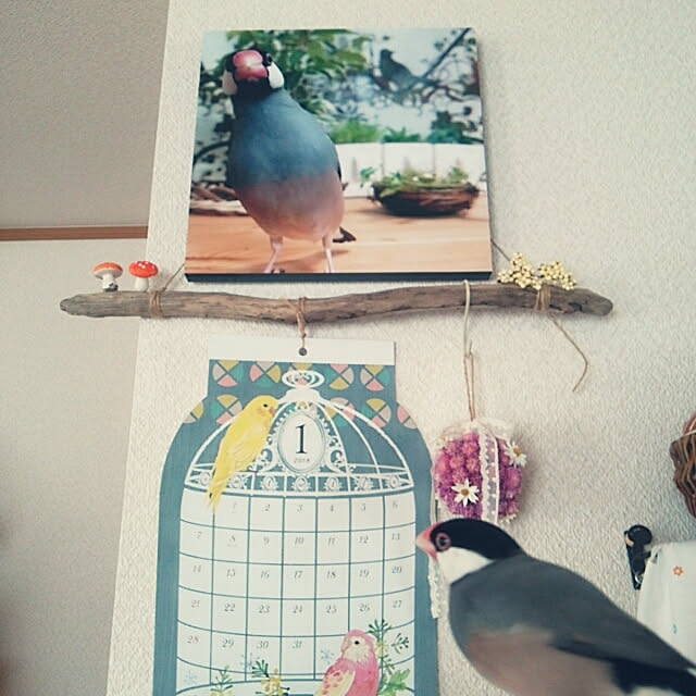 miiさんの実例写真