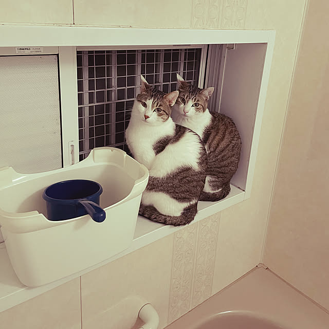 Lufuさんの実例写真
