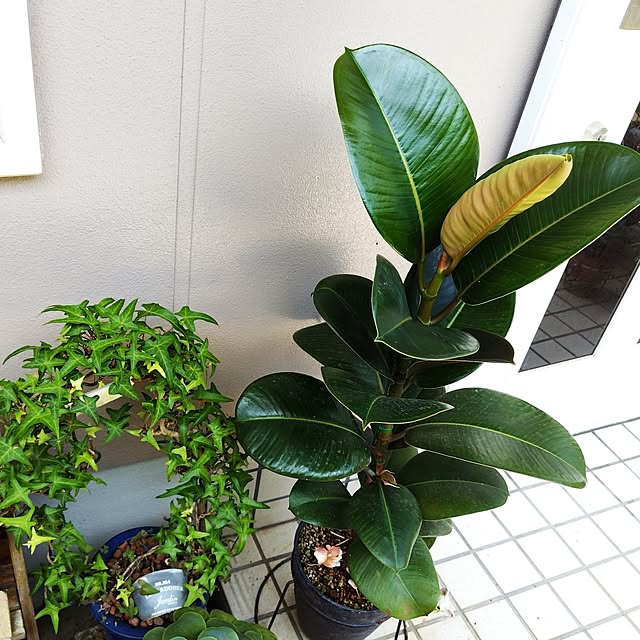 katさんの部屋