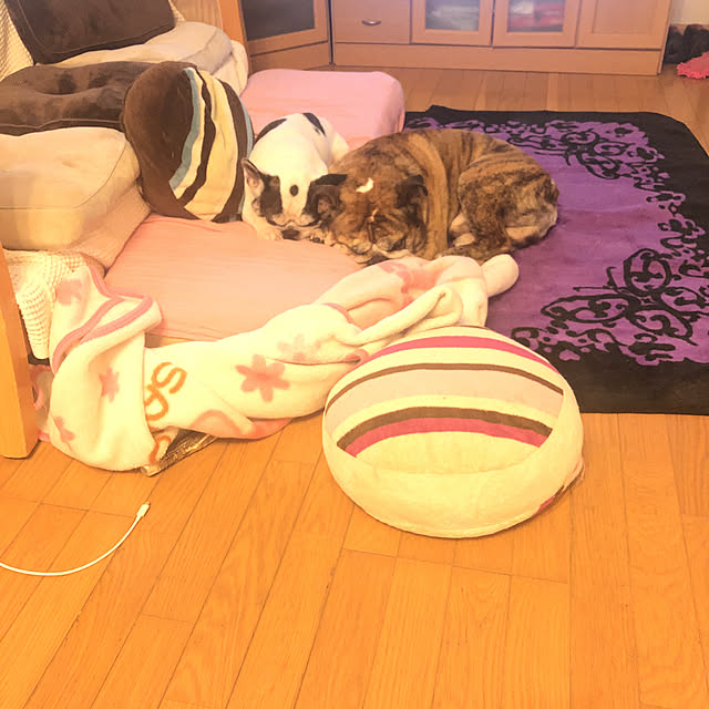 chi_gogaさんの実例写真