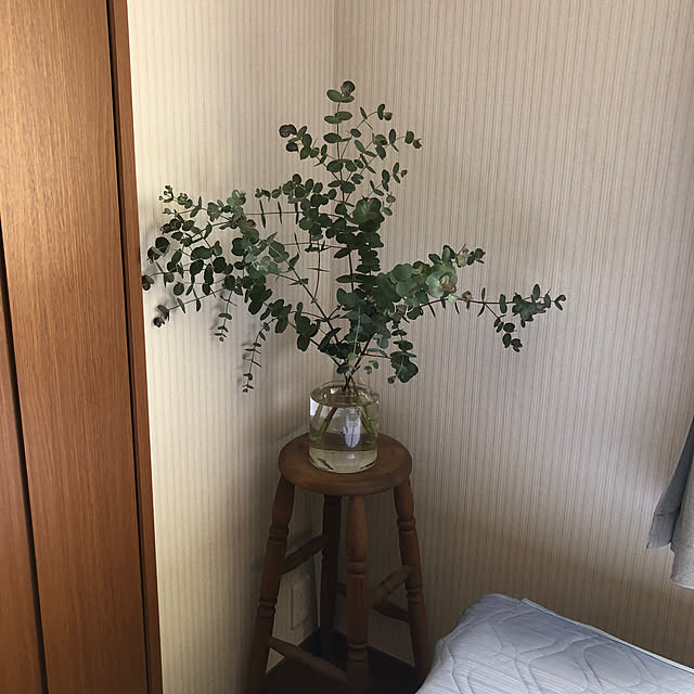 satoさんの実例写真
