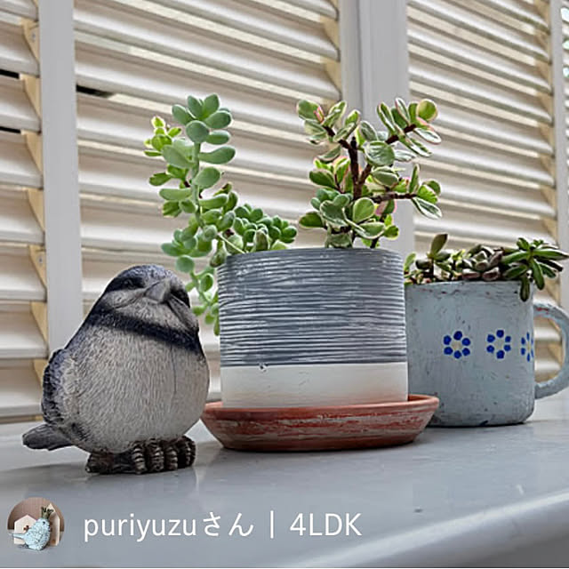 puriyuzuさんの部屋