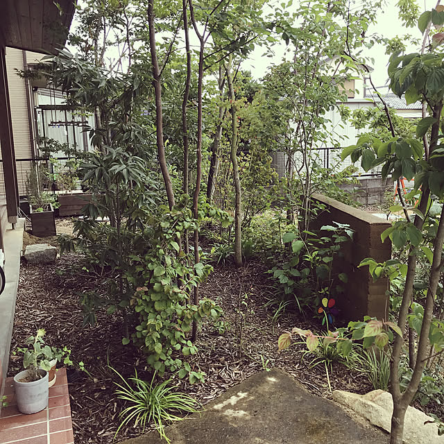 search1132さんの実例写真