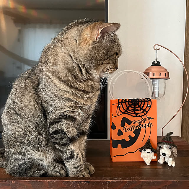 kuuさんの部屋