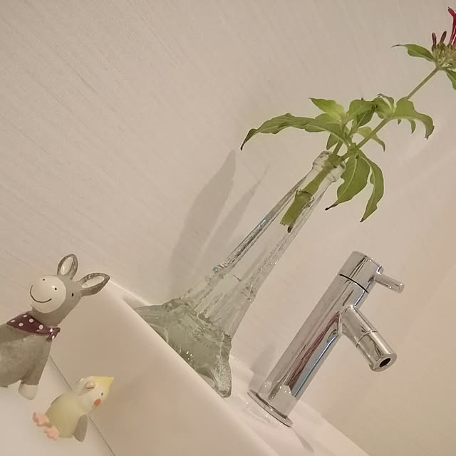 ashikeさんの実例写真