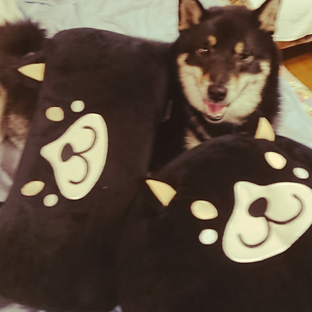 tsutawarimasuさんの実例写真