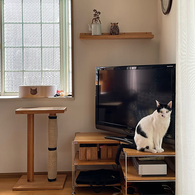 nobikoさんの部屋