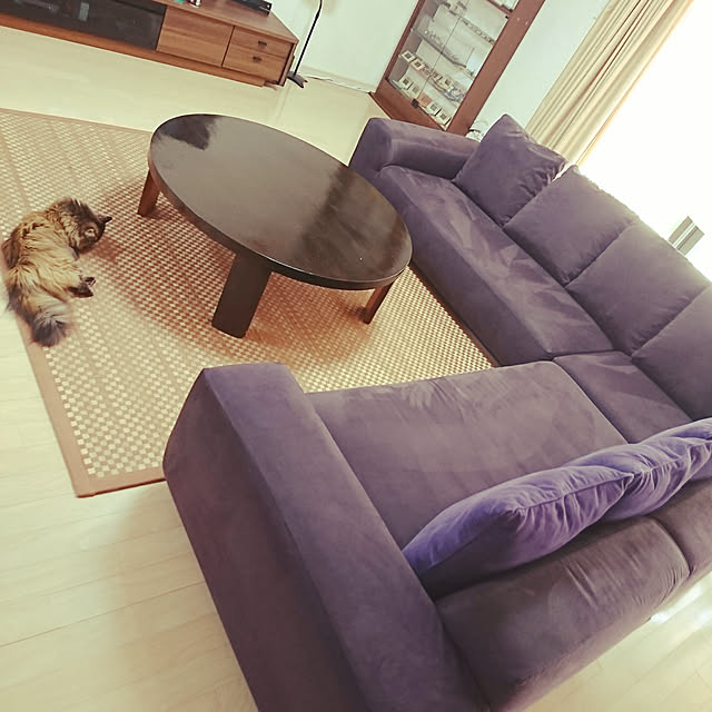 nekomajinさんの実例写真