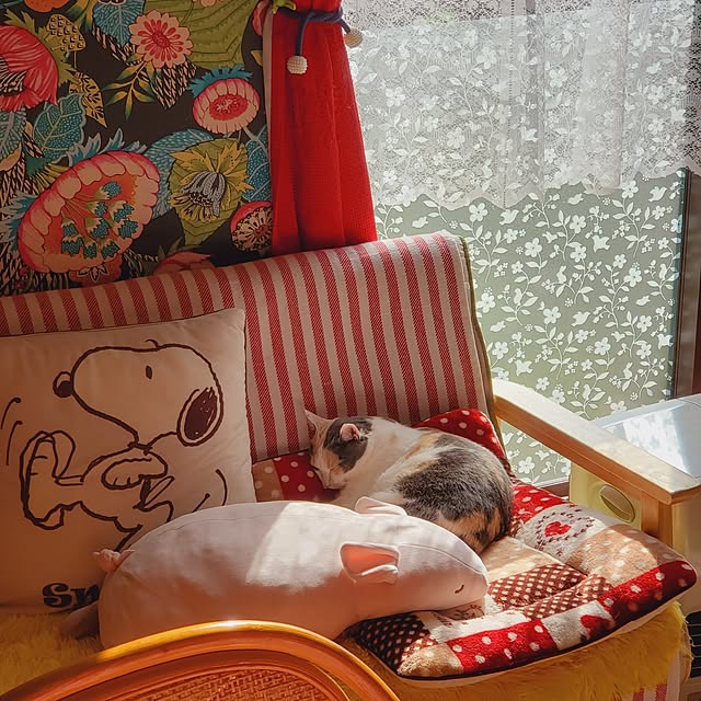 kumutanさんの部屋