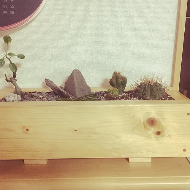 リビング/DIY/多肉植物のインテリア実例 - 2017-03-14 08:31:27