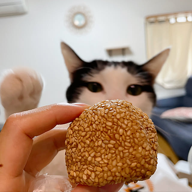 harukaさんの実例写真