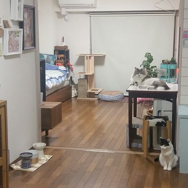 inumonuさんの実例写真