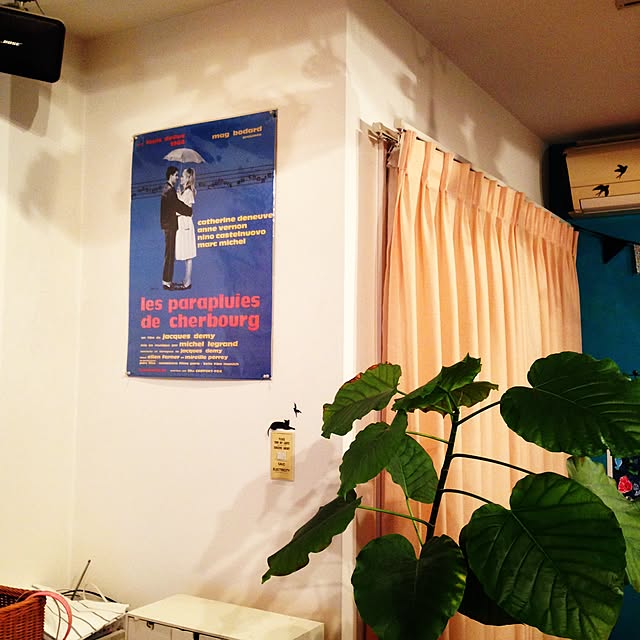 haruさんの実例写真