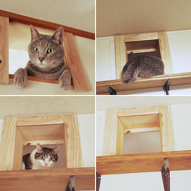 kiraさんの実例写真