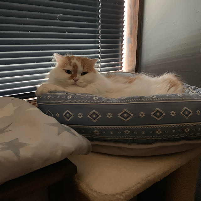 keiさんの実例写真