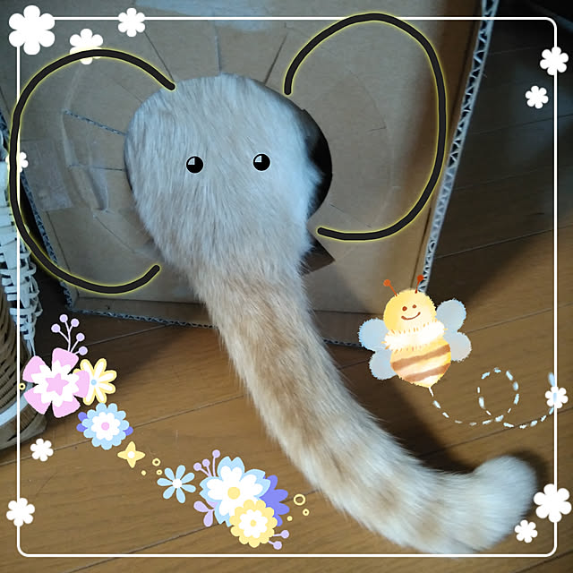 posauruさんの実例写真