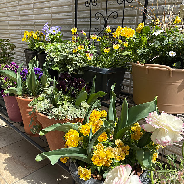 violetさんの部屋